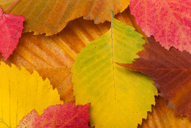 Similar image 589936