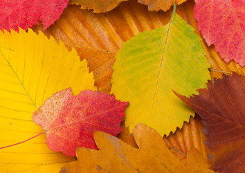 Similar image 589937