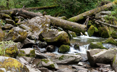 Similar image 589950