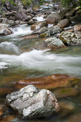 Similar image 589959