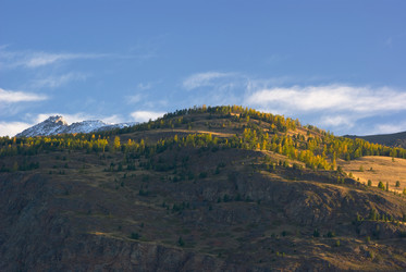 Similar image 589965