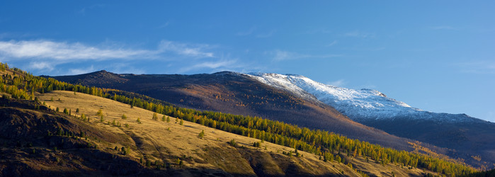 Similar image 589969