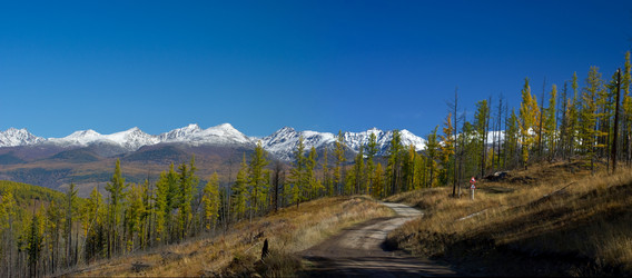 Similar image 589971