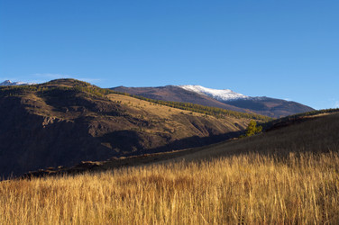 Similar image 589973