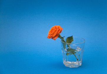 Similar image 589992