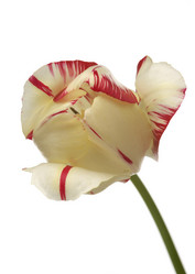 Similar image 590020