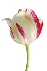 Similar image 590021