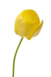 Similar image 590023