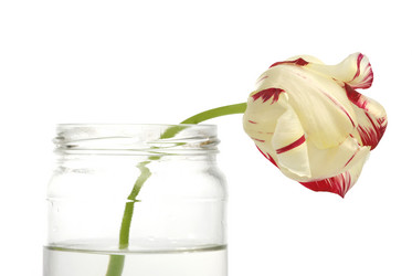 Similar image 590024