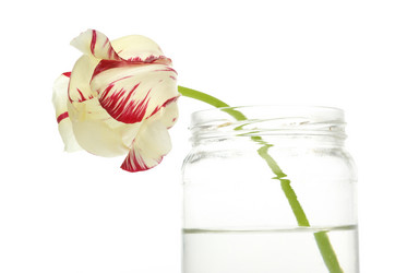 Similar image 590025