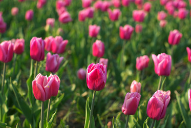 Similar image 590028