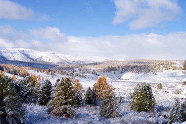 Similar image 590031