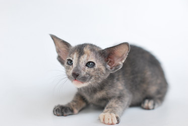 Similar image 590039