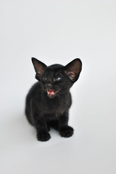 Similar image 590041