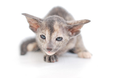 Similar image 590048