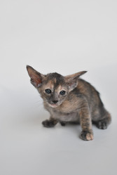 Similar image 590051