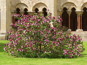 Similar image 590077