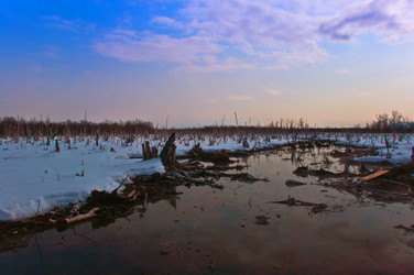 Similar image 590122