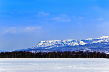 Similar image 590124