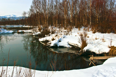 Similar image 590125