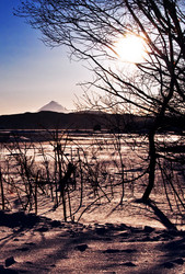 Similar image 590126