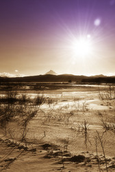 Similar image 590134