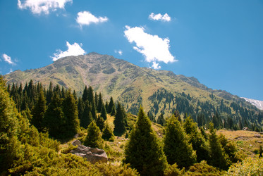 Similar image 590181