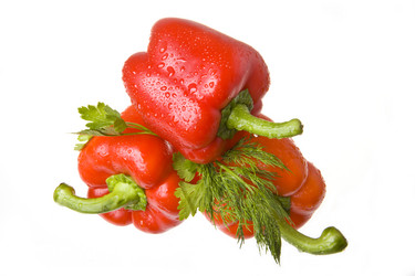 Similar image 590226