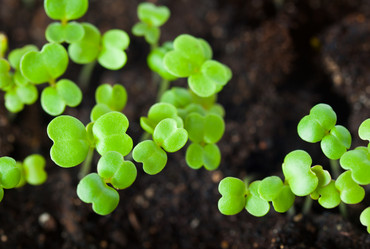 Similar image 590229