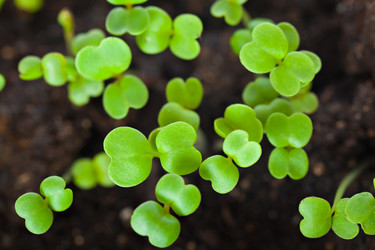 Similar image 590230