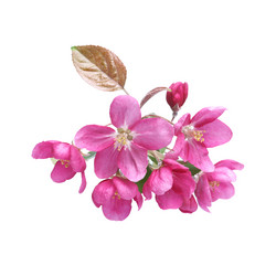 Similar image 590244