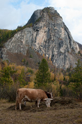 Similar image 590261