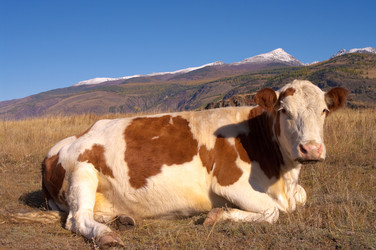 Similar image 590266