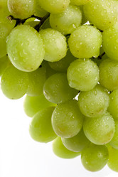 Similar image 590268