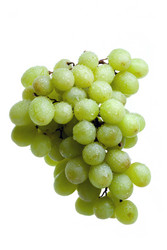 Similar image 590269