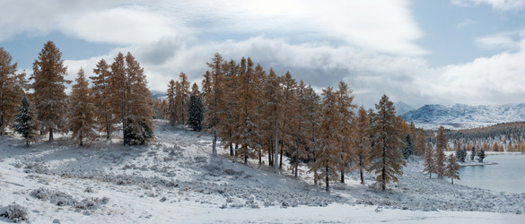 Similar image 590270