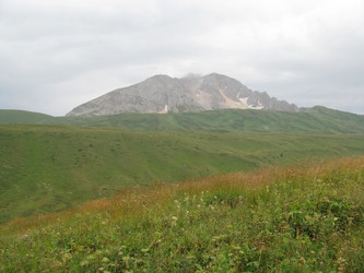 Similar image 590271