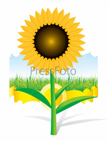Фотография на тему Желтый цветок на фоне травы и неба, векторный рисунок |  PressFoto