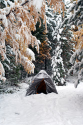 Similar image 590290