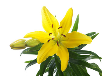 Similar image 590293