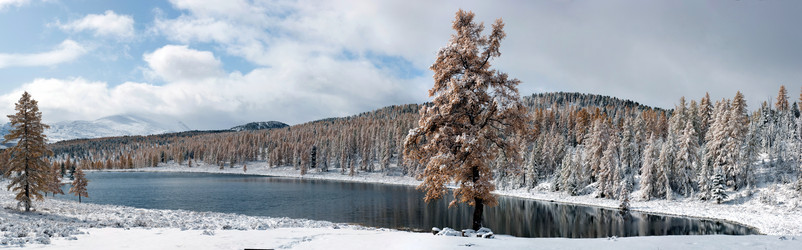 Similar image 590294