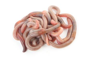 Similar image 590296