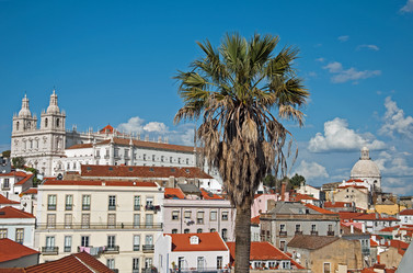 Similar image 590315