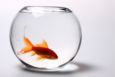 Similar image 590337