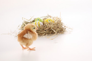 Similar image 590341