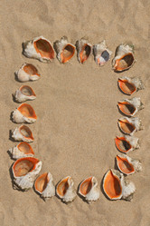 Similar image 590348