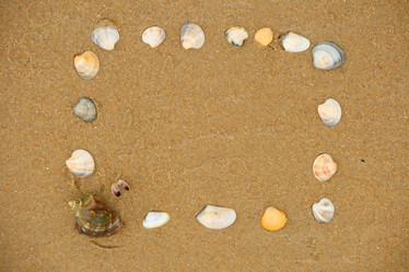 Similar image 590349