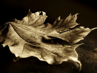 Similar image 590360