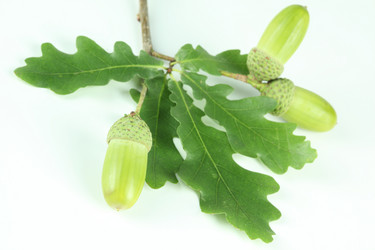 Similar image 590371