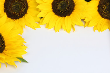 Similar image 590372